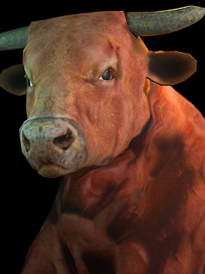 bull-2-game-display